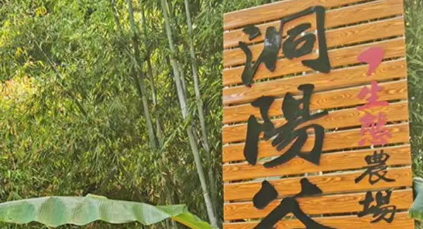 廣有合頁2019踏春拓展--經(jīng)歷中成長(zhǎng)，成長(zhǎng)中經(jīng)歷