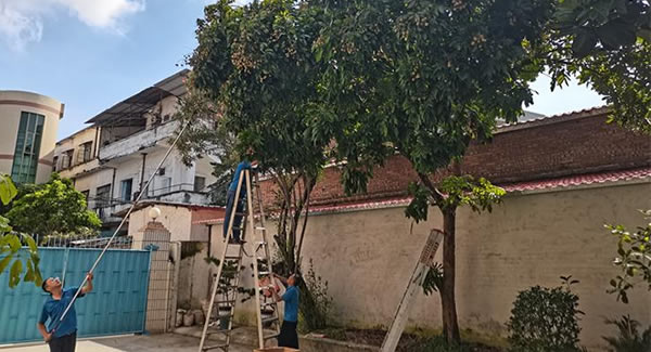 廣有儲(chǔ)良龍眼，詮釋濃情盛夏|廣有五金&東莞合頁