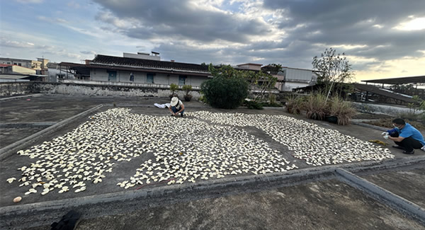 廣有樓頂曬場的歲月修行——傳藝曬陳皮|廣有五金&東莞合頁?